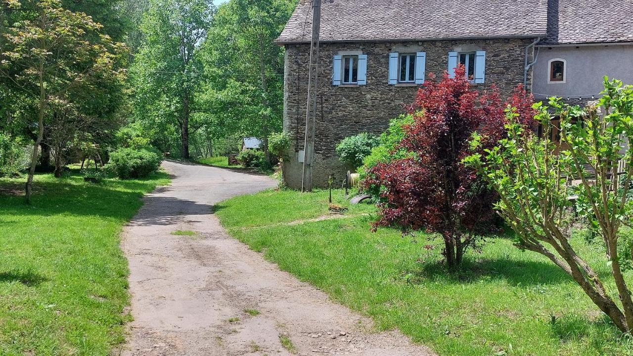 Moulin De Serre Villa Sainte-Juliette-sur-Viaur Exterior photo